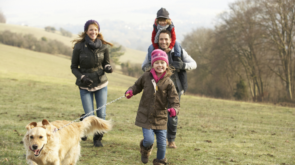 Dog Friendly Walks The Borders